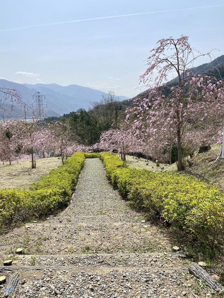 2024年4月2日(火曜日)の様子の画像3