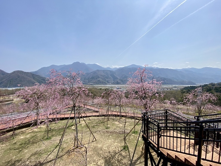 2024年4月2日(火曜日)の様子の画像4