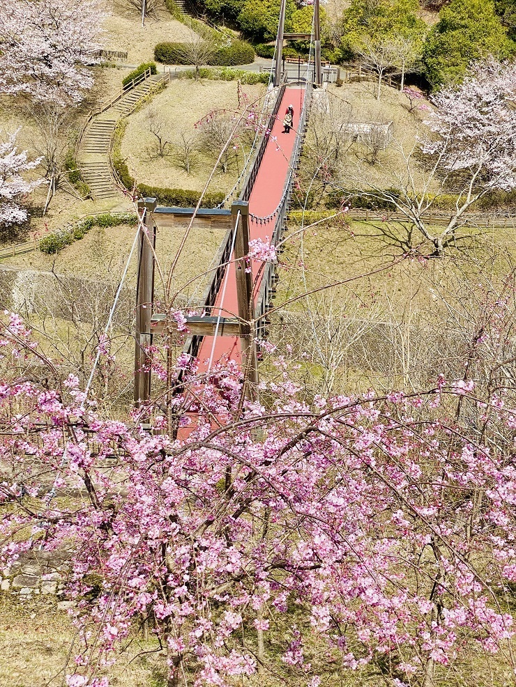 2024年4月2日(火曜日)の様子の画像5