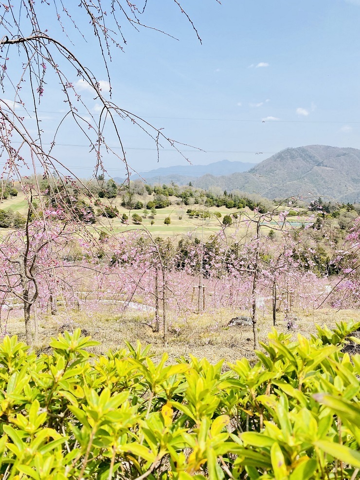 2024年4月2日(火曜日)の様子の画像7