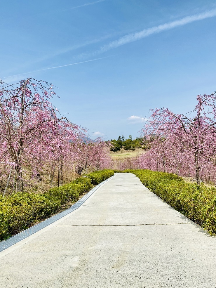 2024年4月2日(火曜日)の様子の画像9