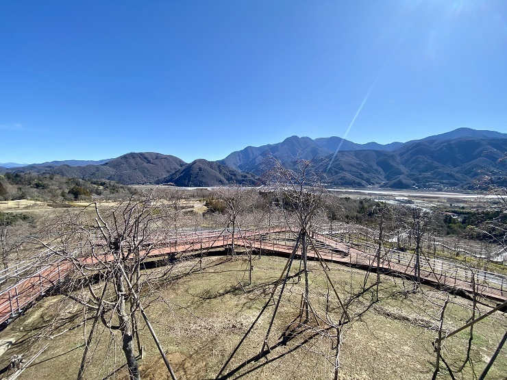 2024年3月27日(水曜日)の様子の画像1