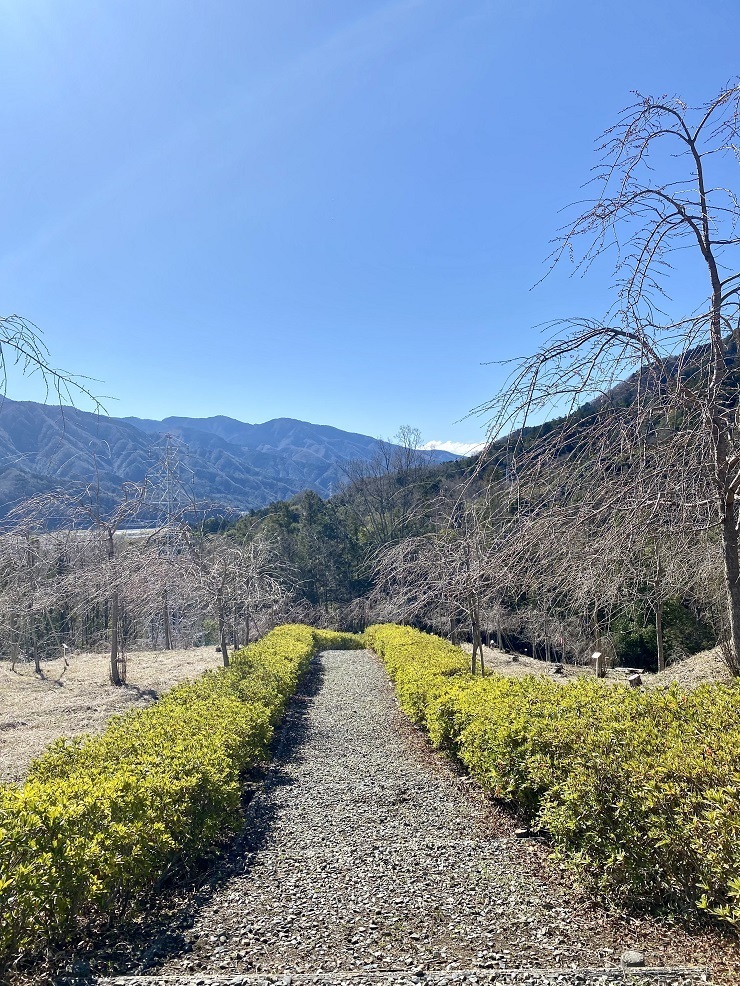 2024年3月27日(水曜日)の様子の画像3