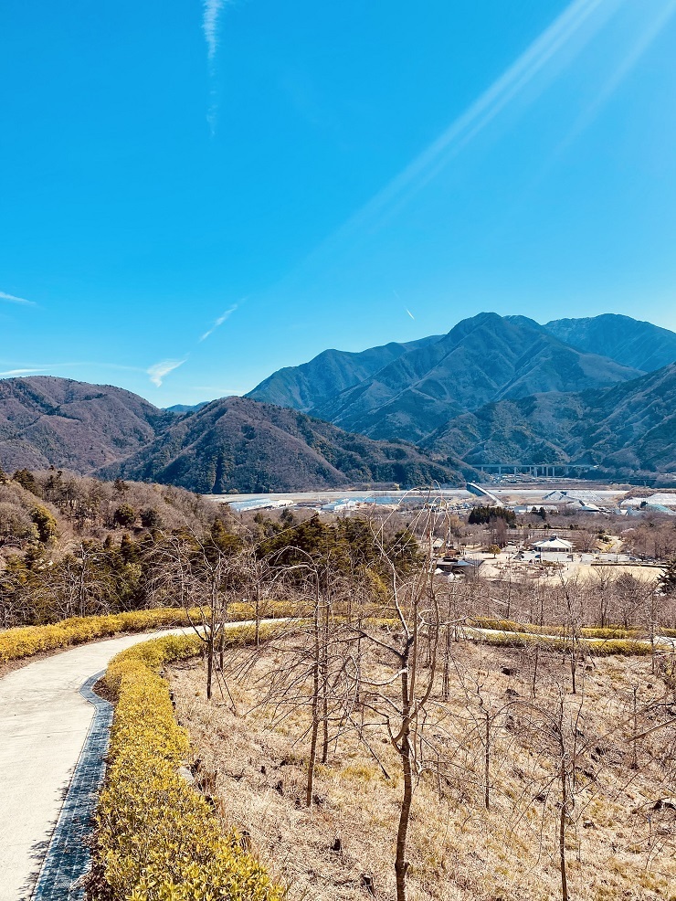 2024年3月27日(水曜日)の様子の画像4