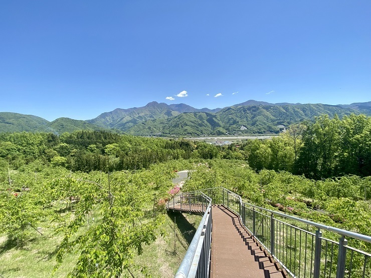 2023年4月27日(木曜日)の様子の画像1