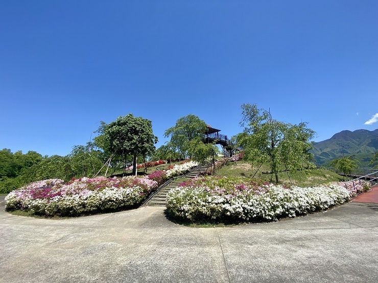 2023年4月27日(木曜日)の様子の画像2