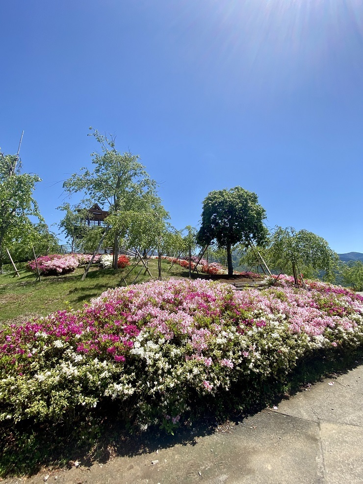 2023年4月27日(木曜日)の様子の画像3