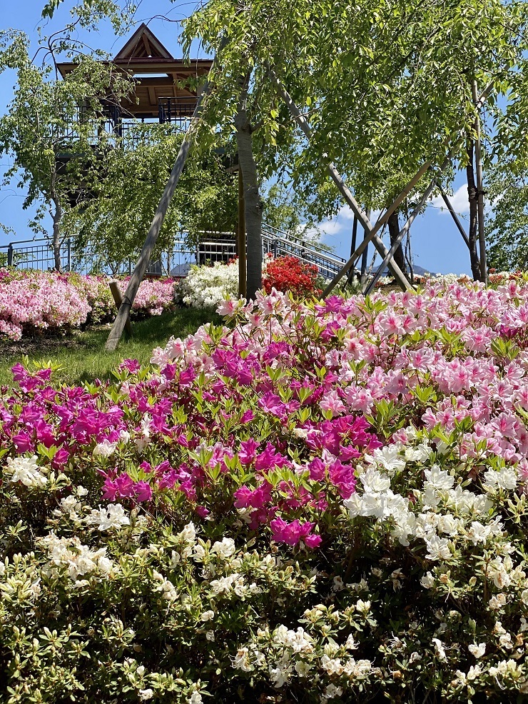 2023年4月27日(木曜日)の様子の画像4