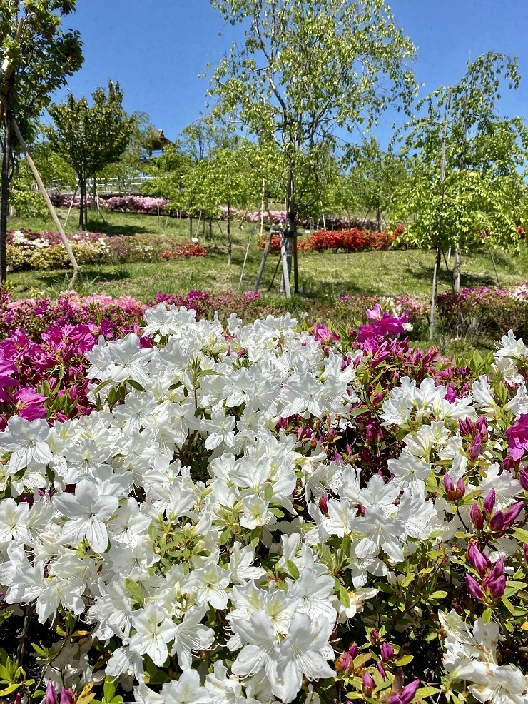 2023年4月27日(木曜日)の様子の画像5