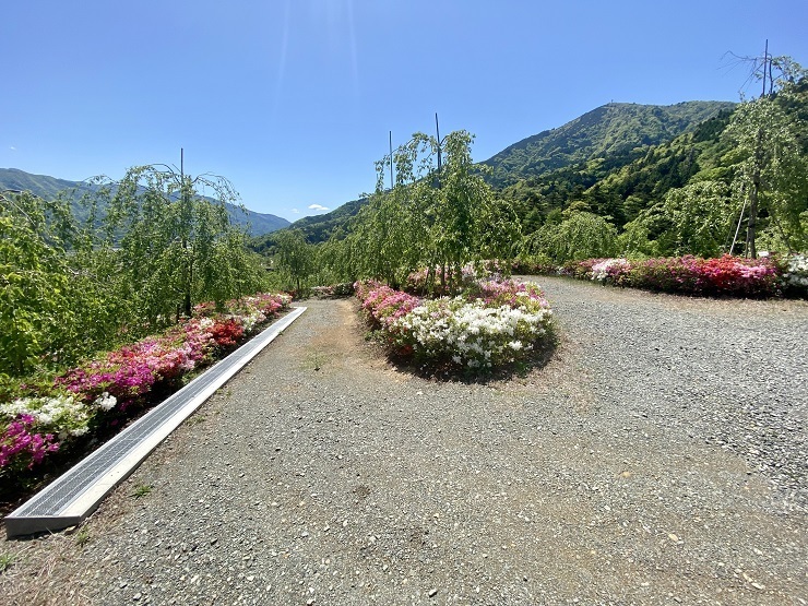 2023年4月27日(木曜日)の様子の画像7