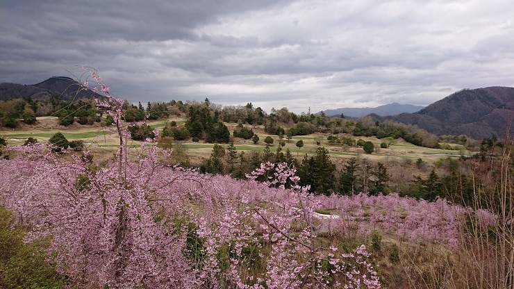 2023年3月27日(月曜日)の様子の画像4