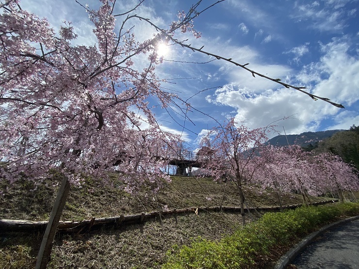 2023年3月24日(金曜日)の様子の画像2