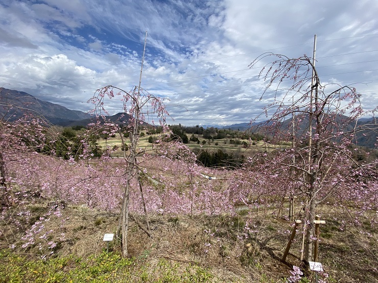 2023年3月24日(金曜日)の様子の画像5