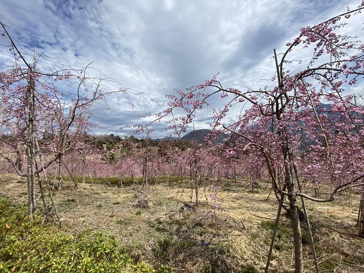 2023年3月24日(金曜日)の様子の画像6