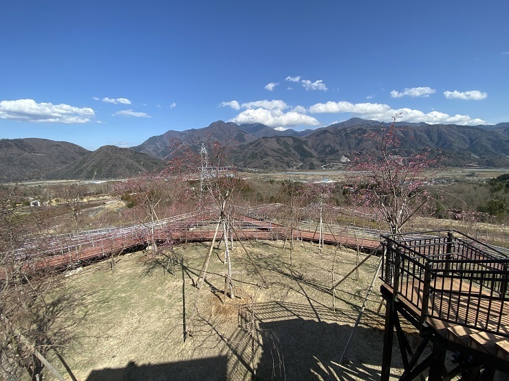 2023年3月20日(月曜日)の様子の画像1