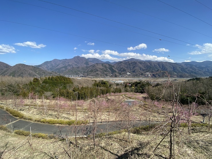 2023年3月20日(月曜日)の様子の画像3