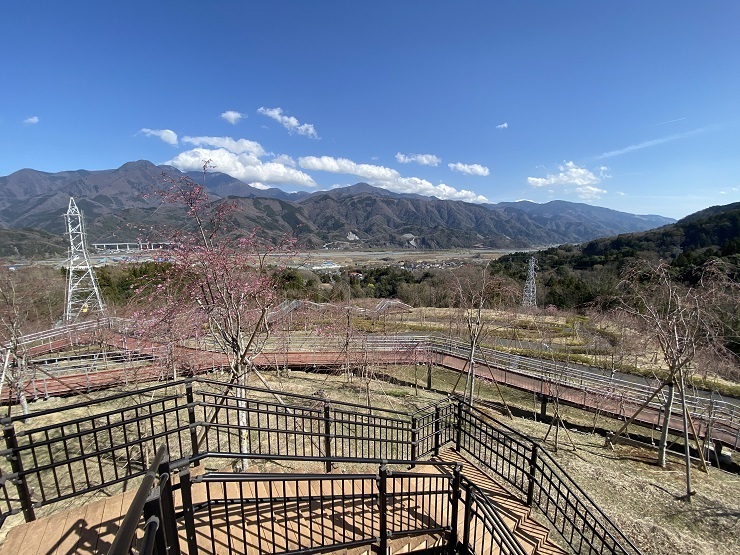 2023年3月20日(月曜日)の様子の画像4