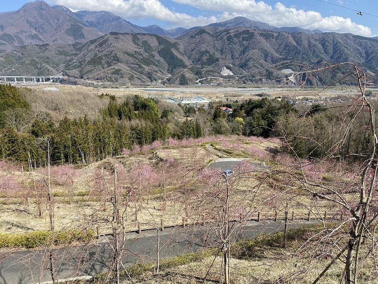 2023年3月20日(月曜日)の様子の画像5