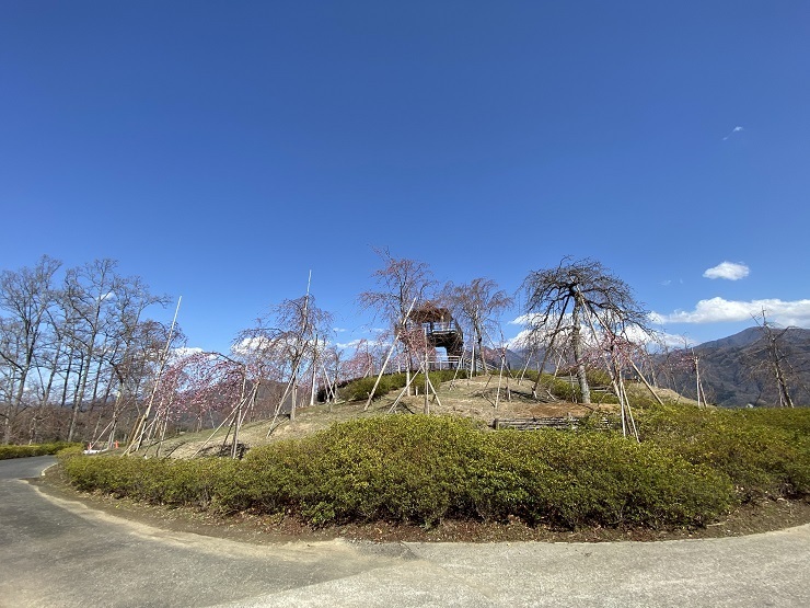 2023年3月20日(月曜日)の様子の画像6