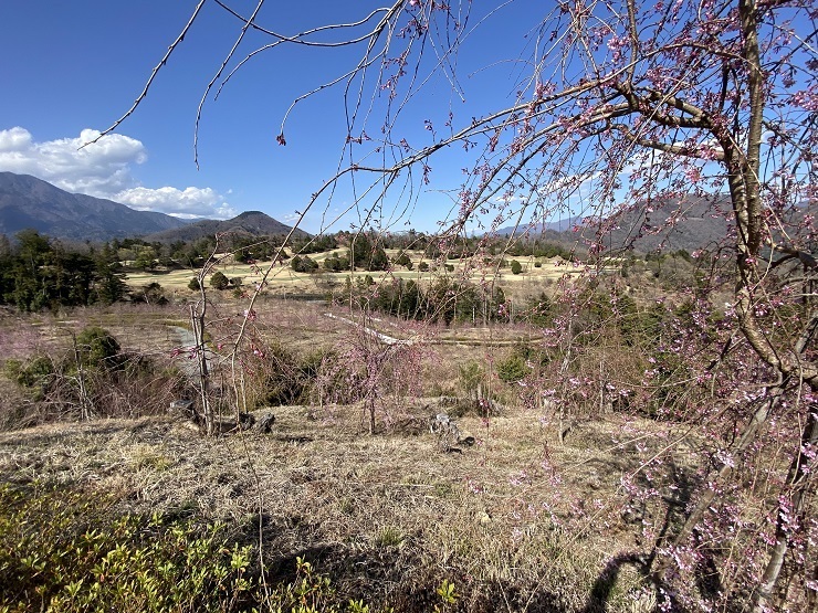2023年3月20日(月曜日)の様子の画像7