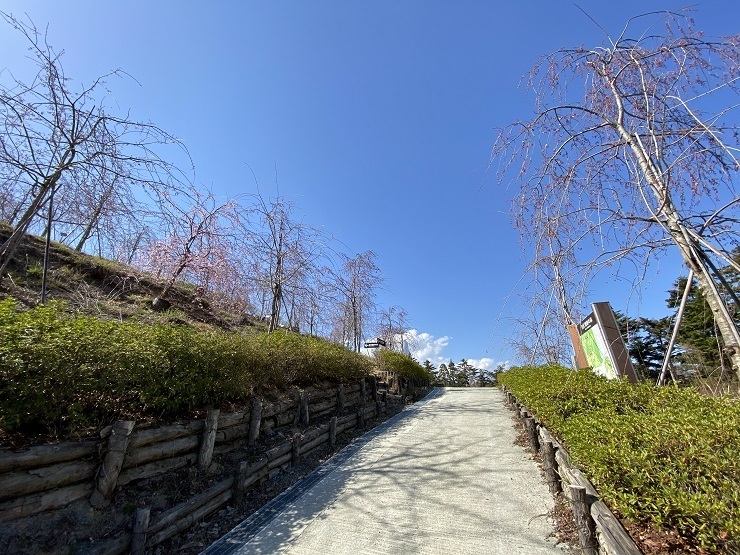 2023年3月20日(月曜日)の様子の画像8