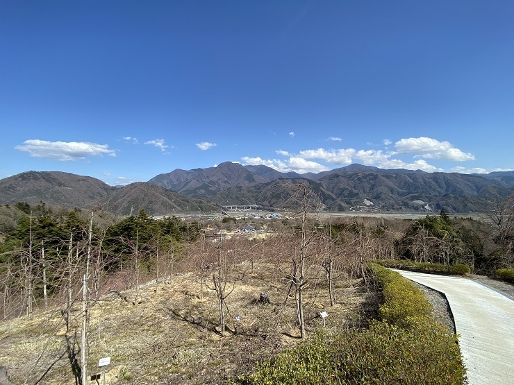 2023年3月20日(月曜日)の様子の画像9