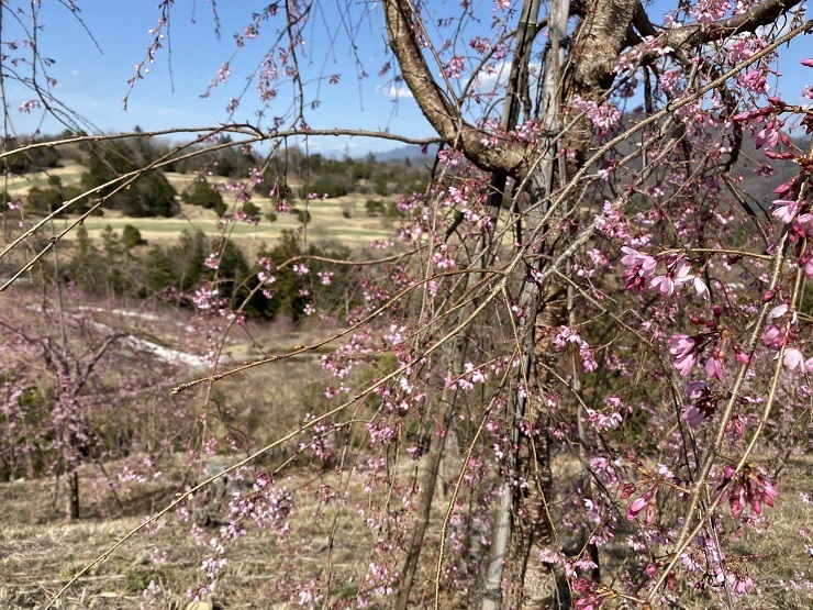 2023年3月20日(月曜日)の様子の画像11