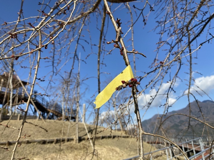 2023年3月14日(火曜日)の様子の画像1