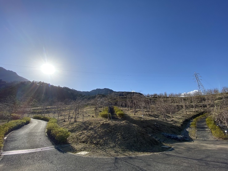 2023年3月14日(火曜日)の様子の画像5