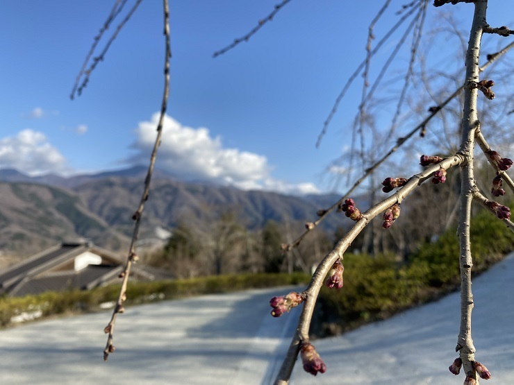 2023年3月14日(火曜日)の様子の画像6
