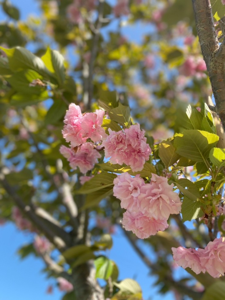 2022年4月25日の様子の画像1