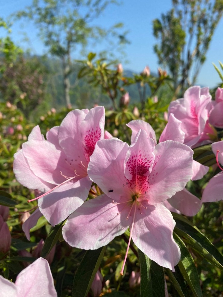 2022年4月25日の様子の画像2