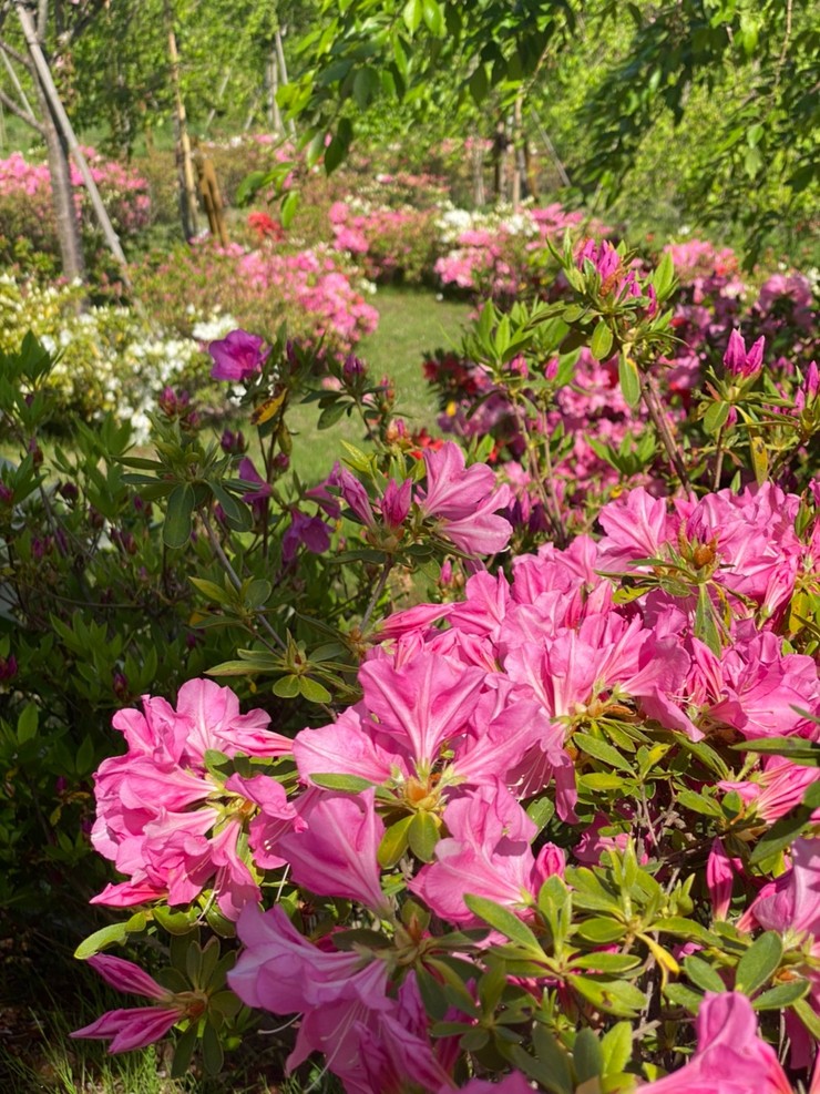 2022年4月25日の様子の画像3