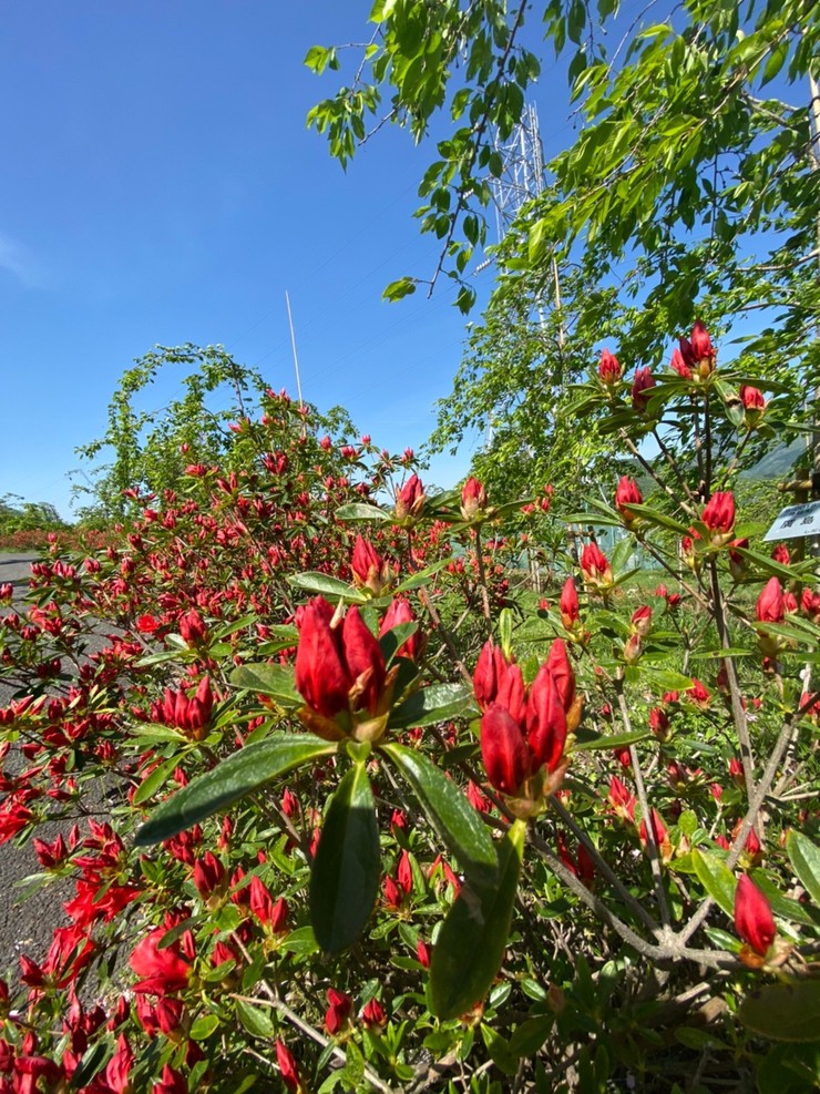 2022年4月25日の様子の画像4