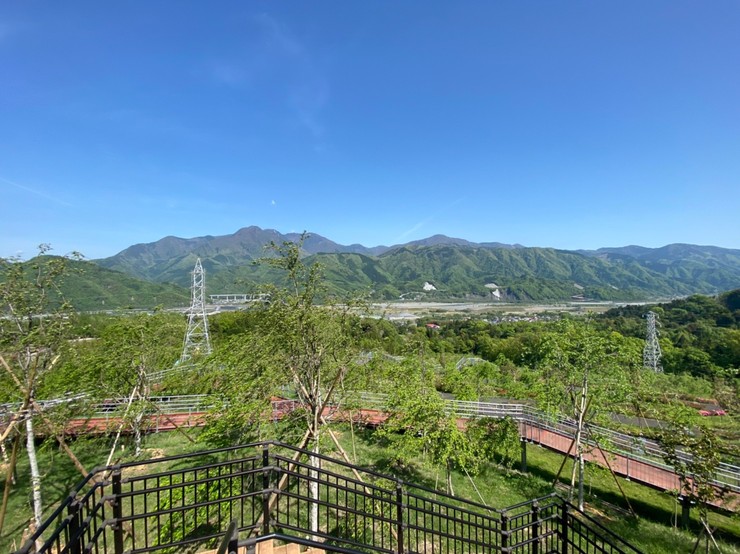 2022年4月25日の様子の画像5