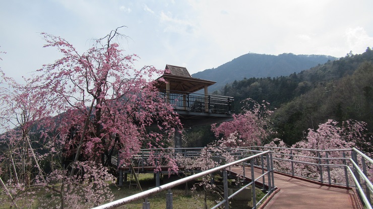 2022年3月30日の様子の画像1