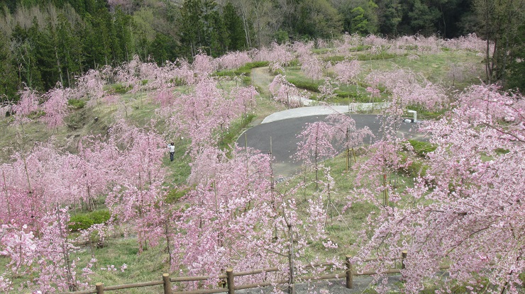 2022年3月30日の様子の画像4