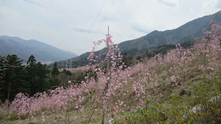 2022年3月30日の様子の画像6