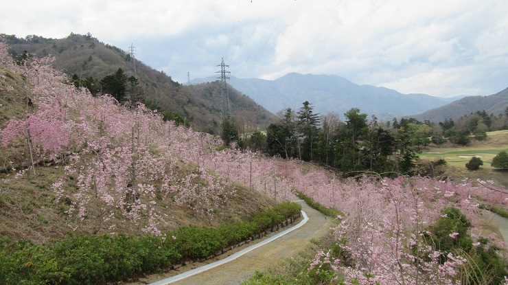 2022年3月30日の様子の画像7