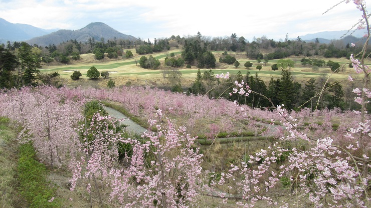 2022年3月30日の様子の画像8