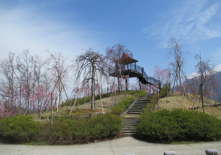 2022年3月28日の様子の画像1