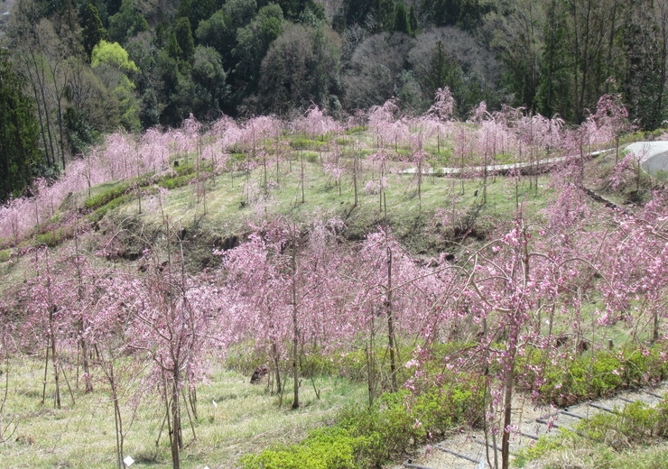 2022年3月28日の様子の画像3