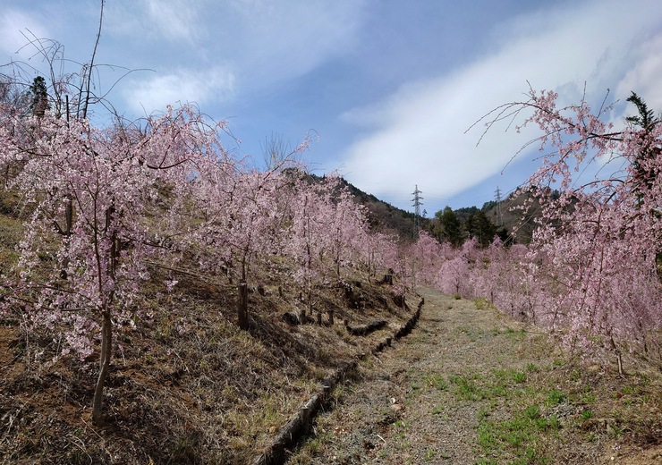 2022年3月28日の様子の画像4