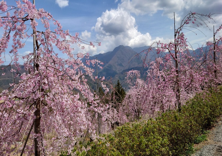 2022年3月28日の様子の画像6