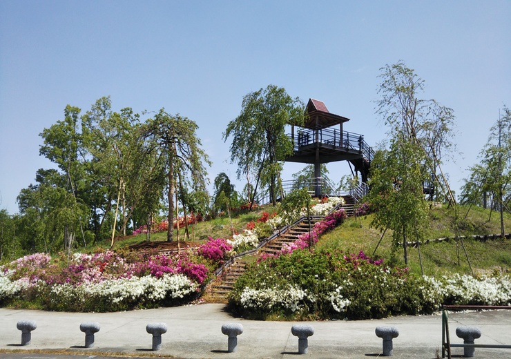 しだれ桜の里現況写真の画像1