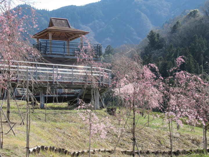 2021年3月23日の様子の画像1