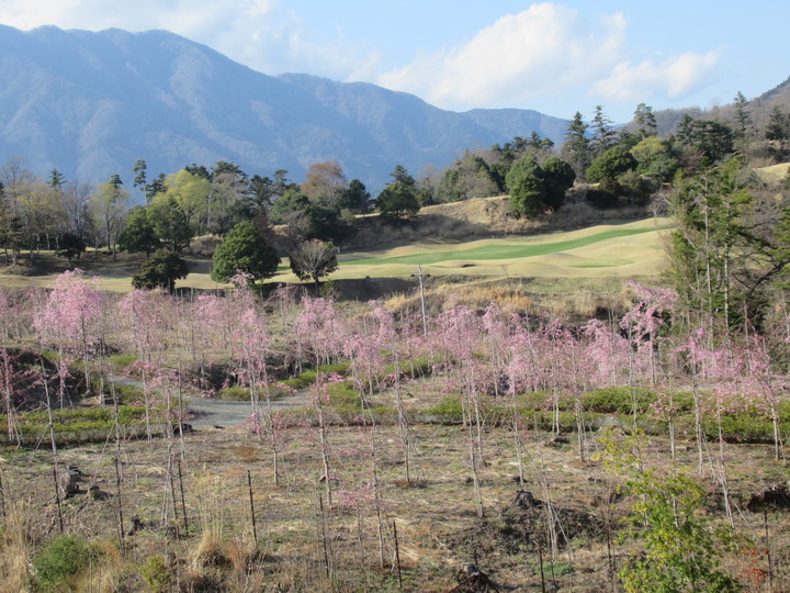 2021年3月23日の様子の画像3