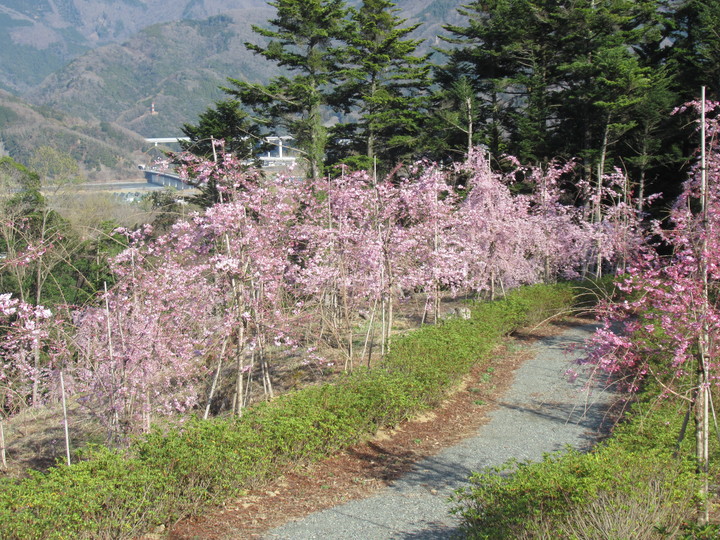 2021年3月23日の様子の画像4