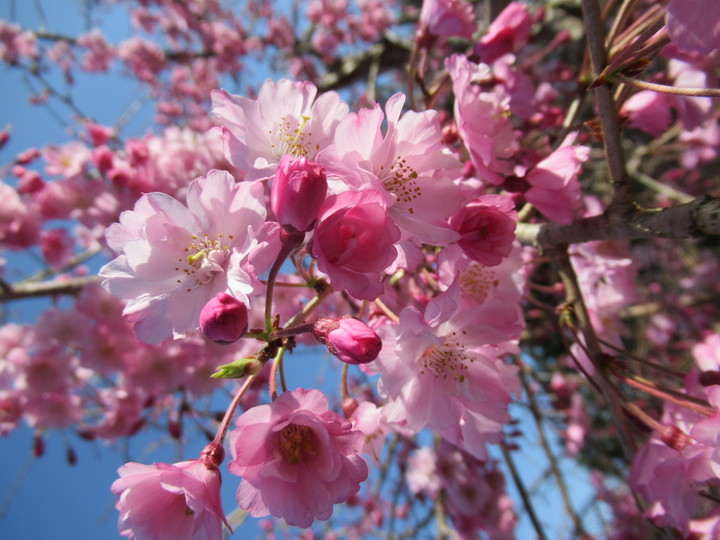 2021年3月23日の様子の画像6