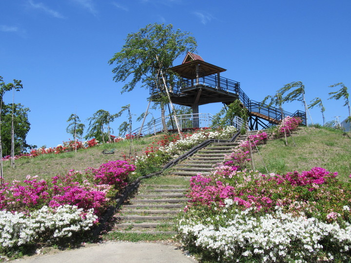 2020年5月8日の様子の画像1
